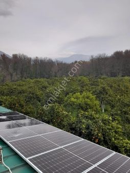 Köyceğiz Toparlarda Satılık 6024 M2 2b Arazisi