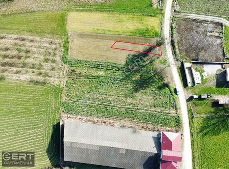 Adapazarı Salmanlı Da Asfalt Yola Cepheli Fırsat Tarla