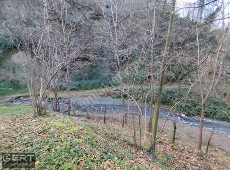 Erenler Değirmenderede Mükemmel Manzaralı Satılık Fındık Bahçesi