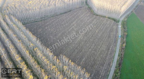 Akyazı Bedilkadirbey De 12 Dönüm,resmi Yola 118 M Cepheli Tarla