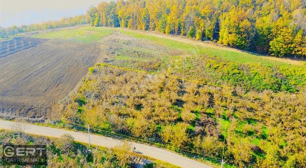 Serdivan Çubuklu'da Şehir Manzaralı Eşsiz 1.436m² Parsel