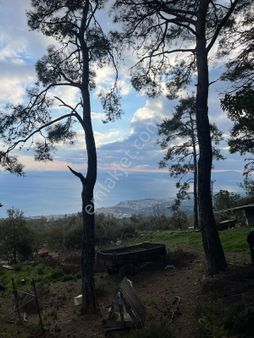 Rota- Altınoluk 4 Dönüm Zeytinlik Yol-su-elk