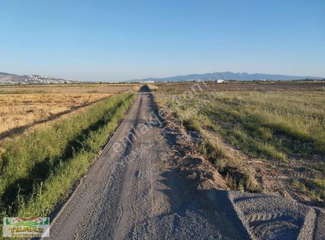 Acill Satılık Seyrek Köy'de 211 Metre