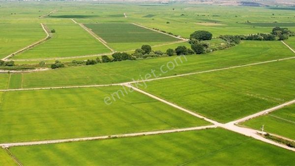 Ergünden Tömükte 1725m2 Muhtelif Ağaçlı Satılık Bahçe