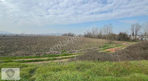 Yön Gayrimenkul Den Yatırımlık Tarla. 1710m2