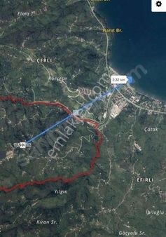 Perşembe Beyli Köyünde 2300m² Deniz Manzaralı Yol Kenarı Bahçe