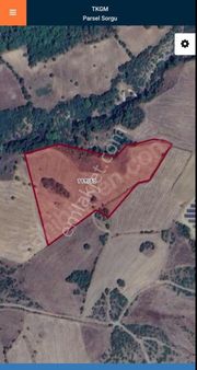 Çanakkale Lapseki'de Acil Satılık Fırsat Tarla