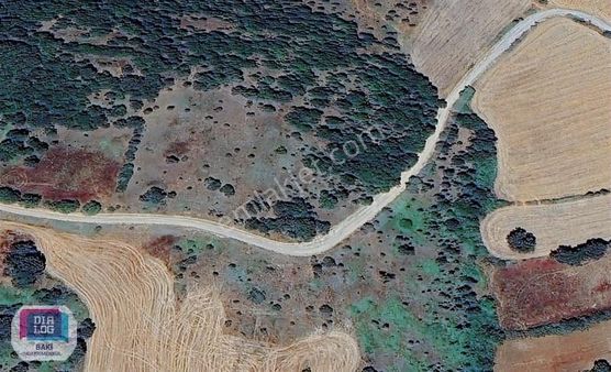 Biga Bezirganlar | Yola Çift Cepheli Fırsat Parsel | 8991 M2