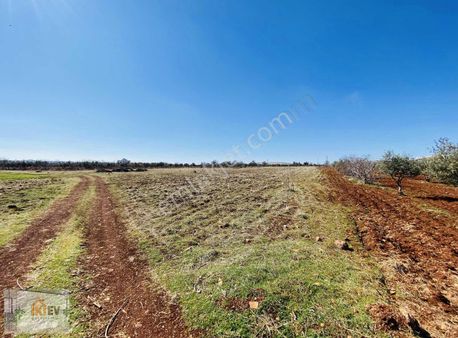 Körkün Sanayi Karşısında Satılık Arsa