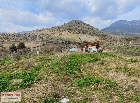 Sakarya Pamukova Yatırımlık Tarla
