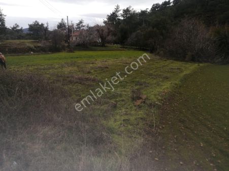 Özcan Emlak' Tan Muğla Köyceğiz Sazak Mah Satılık Tarla