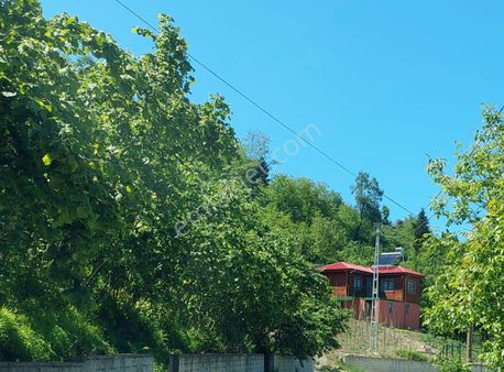 Trabzon Ortahisar Tosköyü Karlık Mah.arsa Satılı