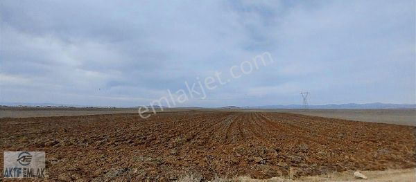 Afyonkarahisar Beyazı Kupon Verimli Arazi