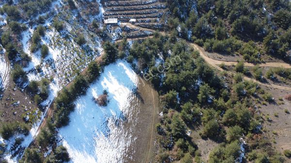 Remax Mavi Erol Çekcan Dan Geyve Safıbeyde 4.479m2 Satılık Bağ.