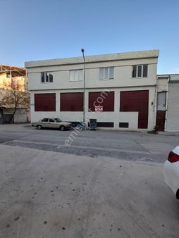 Vişne De Satılık İşyeri