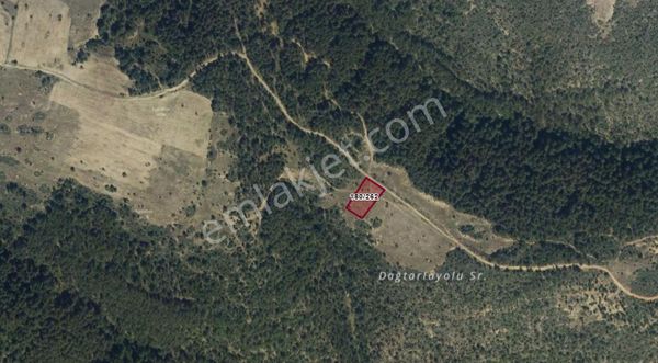 Ermaxnetten Kütahya Aslanapa Tokul1739 M2 Fırsat Arazi