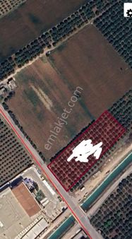 Yoldaşdan Akdeniz İlçesi Evci Mahallesinde Satılık Arsa Sanayi Alanı