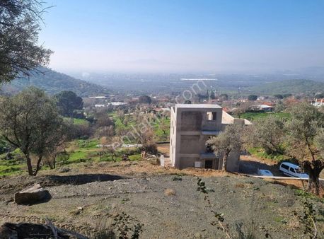 Bayındır Yeşilova Köyünde Manzaralı Zeytin Bahçesi