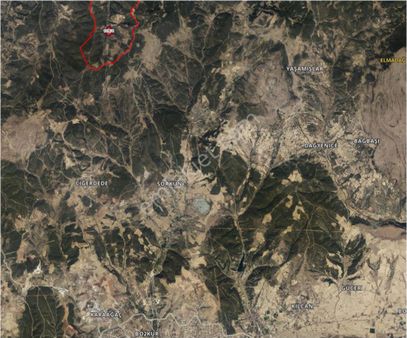 Uşak Merkez Satılık Tarla (paçacılar Köyünde)