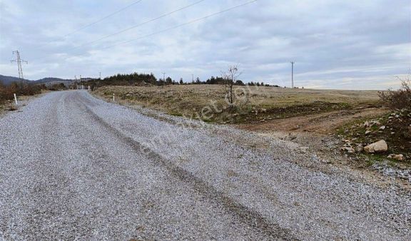 Manisa Akhisar Kabaağaçkıran Mahallesinde Satılık Tarla