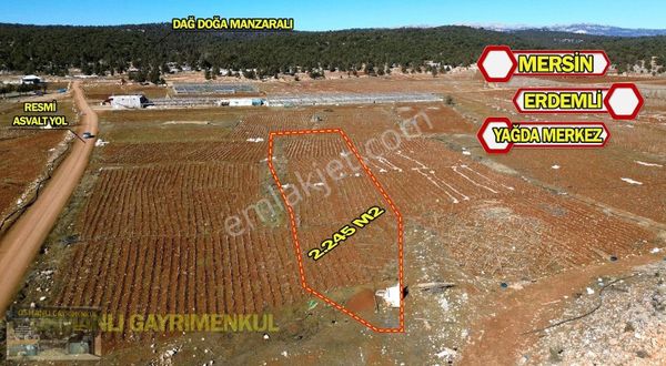 Mersin Erdemli Yağda Masrafsız Düz Uygun Fiyata Tarla