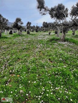 Nehir Emlak & İnşaat'tan Satılık 220 M2 Fırsat Hobi Bahçesi
