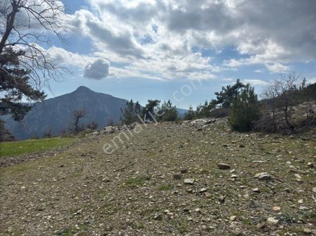 Muğla Menteşe Çatakbağyaka 4.680 M2 Fiziksel Yolu Olan Satılık