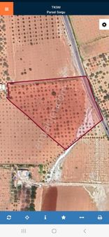 Kültür Emlaktan Büyük Kargılı'da Satılık Fıstıklık