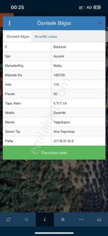 Rota’dan Satılık Fırsat Zeytinlik !!