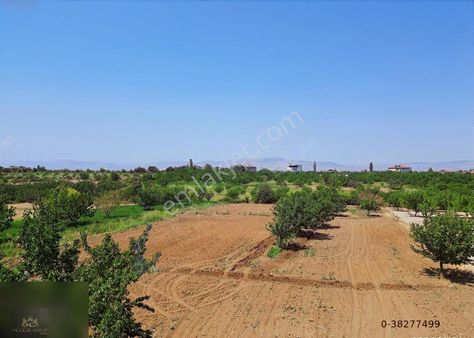 Yeşilyurt Şahnahanda Satılık Bahçe