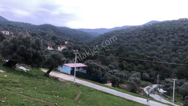 İzmir Bayındır Satılık Köy İçi Duz Bahçe
