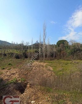 Havran Tekke De Kadastro Yollu Satılık Tarla