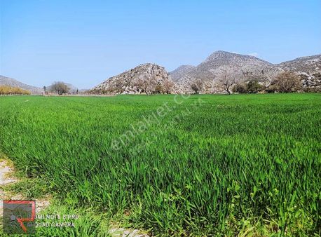 Bucak Yoluna 2. Parsel