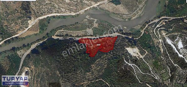 Sinanlı'da Satılık Erik Bahçesi