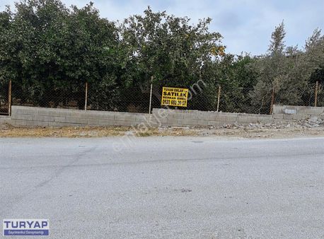 St. İlyas Kilisesine Yakın Anayol Üzeri Eşsiz Parsel