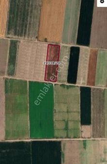 Hatice Kara'dan Mutalıp Emirler Mh.de Satılık Tarla