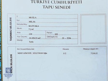 Milas Kuzuyaka Köyünde Satılık Yatırımlık Tarla