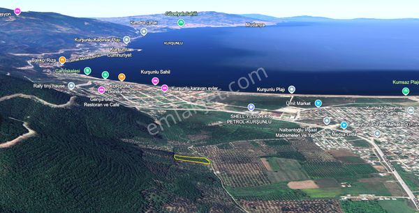 C21 Cius; Gençali 4607m2 Yola Çift Cephe Satılık Zeytinlik