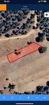 Denizli Acıpayam Güney ' De Satılık Tarla Tek Tapu