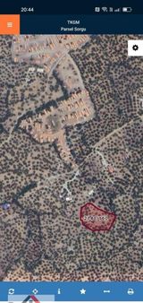 Buse Emlaktan Edremit Zeytinli Mahallesinde Yatırımlık Zeytinlik