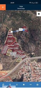 Buse Emlaktan Edremit Hekimzade Mahallesinde Deniz Manzaralı Zeytinlik