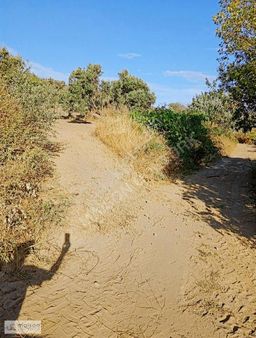 Kw'den Şarköy Karaağaç'da Deniz Manzaralı Satılık 4.410 M2 Arsa