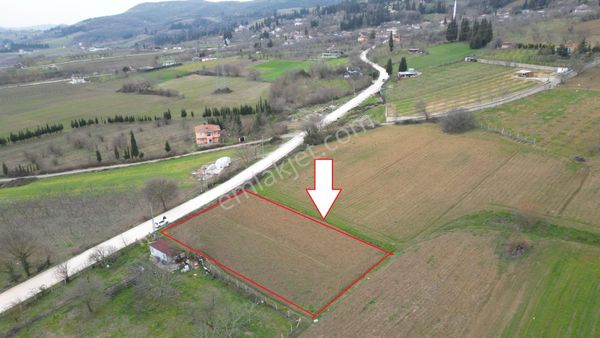 Kocaeli Karamürsel İnebeyli Satılık 1619 M2 Tarla