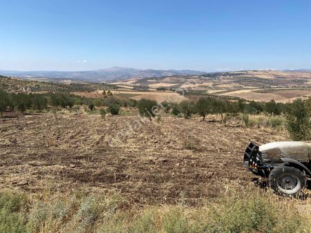 Fatih Emlaktan Burçyeşilpınar Da Satlık Bahçe