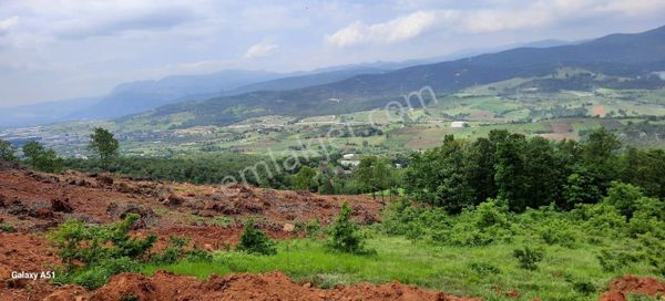 Çelik'ten Bursa Kestel Erdoğan Köyü'nde Satılık 4.618 M² Düz Arazi