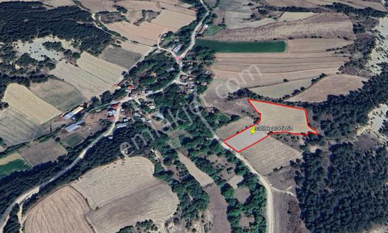 Mudurnu Ormanpınar Köyünde Satılık Arazi