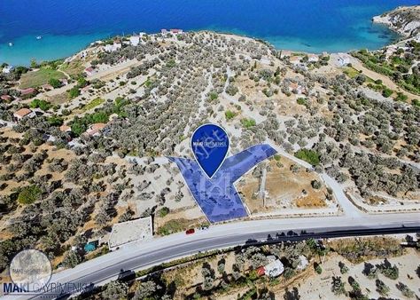 Maki'den Boyabağı'nda Emsalsiz Konumda Zeytinlik