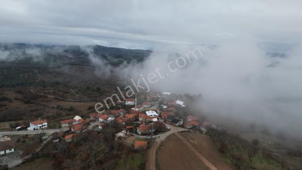 Çelik'ten Harmancık Kocapınar'da 5200 M2 Elma Bahçesi