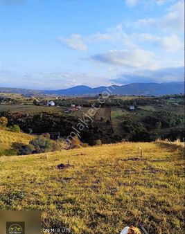 Fırsat Tarla Ful Deniz Manzaralı