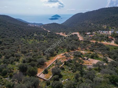 Viga Emlak'tan Bayındır Köyünde Deniz Manzaralı Muhteşem Arazi